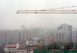 生死邊緣的三天 男子無(wú)防護(hù)攀爬50米塔吊的警示與思考